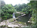 Bonnington Linn