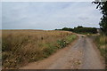 Track to the old airfield