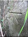 Ordnance Survey Cut Mark