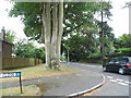 Sheerwater Road at the junction of Silver Birch Close