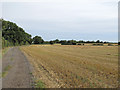 Byway along stubble field near Minchins Farm, Great Dunmow