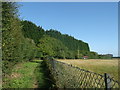 Footpath to Frant 