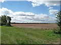 Farmland east of Chapel End