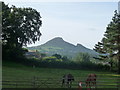 Ysgyryd Fawr / the Skirrid viewed from Pandy