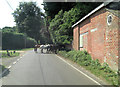 Equine roadblock on Chapel Lane