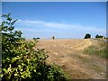 Stubble and Bales