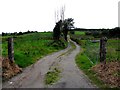 Lane, Curraghmulkin