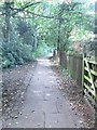 Track off Footpath - end of West Busk Lane