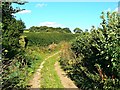 Footpath near Birdlip