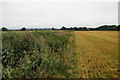 Path by the edge of a harvested field