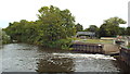 TQ6447 : River Medway near Tonbridge by Malc McDonald