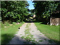 Path through East Stour Farm