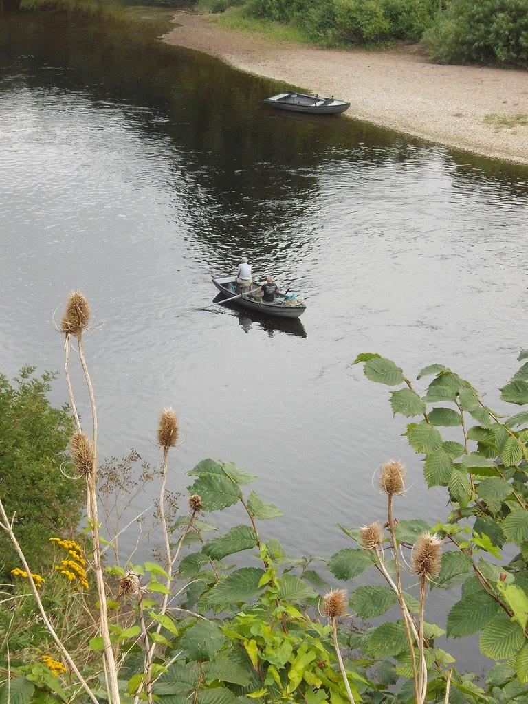 Salmon fishing on the River Tweed at... © Neil Theasby cc-by-sa/2.0 :: Geograph Britain and Ireland