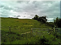 Fence junction on the grassy hillside