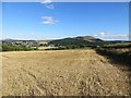 Stubble near Earlston