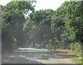 Cattle grid on Burley Road