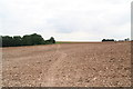 Path across a chalky field, with Haugham Slates farm on the right