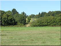 SU8162 : Fields, Grove Farm by Alan Hunt