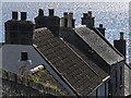 Rooftops, Culross