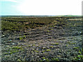 Disturbed area atop the Hill of Allochie