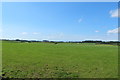 Farmland near Lochhill