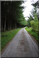 SJ0053 : Country road through forestry by Philip Halling