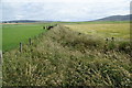 Drainage channel near Hobbister