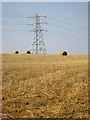 Pylon and straw by Whitworth