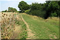 Footpath by Wootton Wood