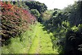 Footpath to Kidnal Hill