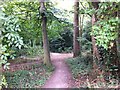 Obelisk Spinney Pocket Park