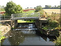 Weir at Wineham