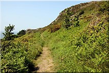 SS8948 : The footpath to Hurlstone Point by Steve Daniels