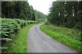 SJ0354 : Road through Clocaenog Forest by Philip Halling
