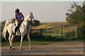 Making ready for a ride on the beach by Theddlethorpe Dunes