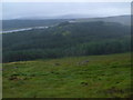 NN4662 : Deer track crossing grassy slope west of Coire a' Ghiubhais near Loch Ericht by ian shiell