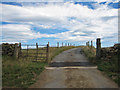 Cattle grid towards Ling Hill