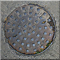 Manhole cover, Glastonbury