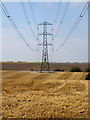 SP9845 : Power lines over the stubble by Philip Jeffrey