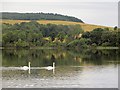 Loch of Clunie