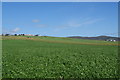 Arable fields at Ireland