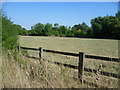 Field near Horton Country Park