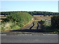 Farm track off the A617