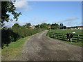 Track to Newfields Farm