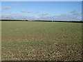 Farmland off Caunton Road