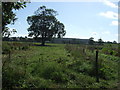 Farmland, Caunton