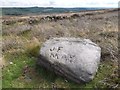SK2185 : "J F May" Graffiti stone on Bamford Moor by Neil Theasby