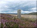 SK2185 : Disused stone fence post on Bamford Moor by Neil Theasby