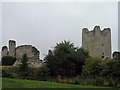 SK5198 : Conisbrough Castle by Steve  Fareham