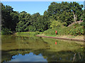 Allsmoor pond